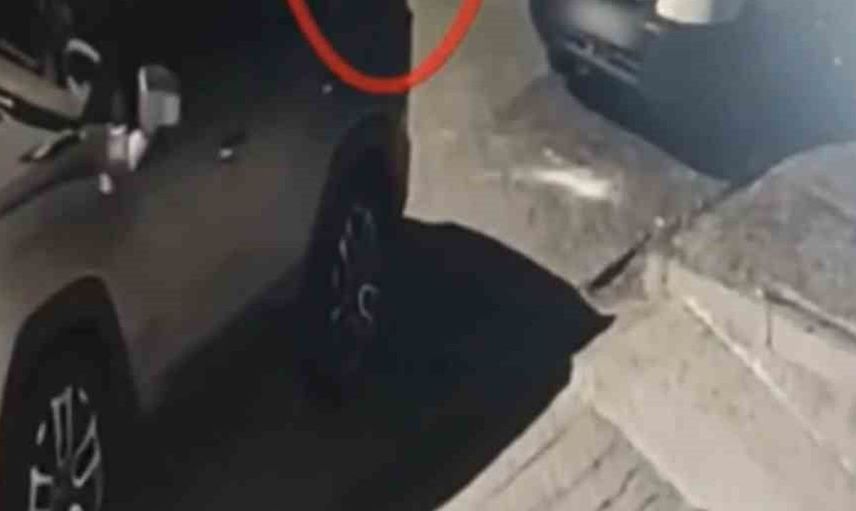 Bingöl'de çalınan 234 paket sigarayla yakalanan şüpheli tutuklandı