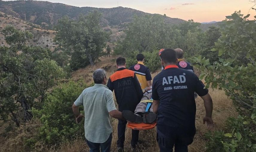 Bingöl'de kaybolan kişi yapılan çalışmalarla ormanda bulundu