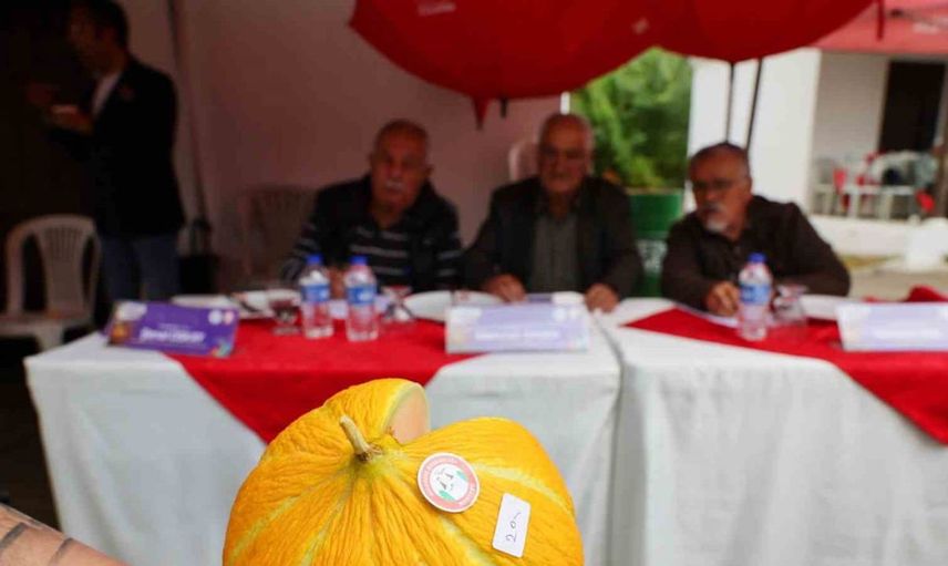 Karabağlar yaylası kavun yarışmasında en lezzetli ürünler belirlendi