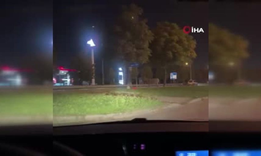Bursa'da eşek ağaca bağlandı, çevredekiler gözlerini alamadı