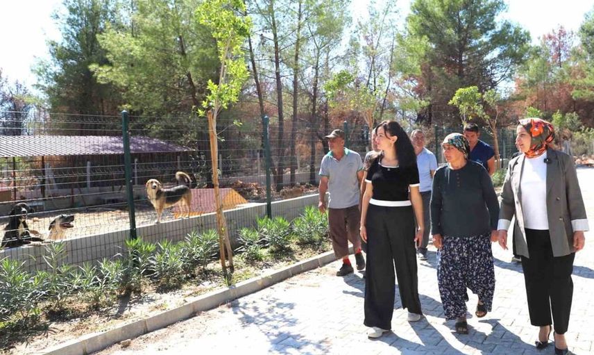 Orman yangınından kurtulan 'Kopi' yeni ailesine kavuştu