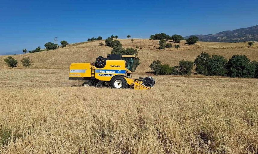 Sarıgöl’de arpa ve buğday hasadı başladı