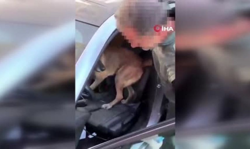 Manisa'da uyuşturucu operasyonunda önemli yakalama: 225 bin hap ele geçirildi
