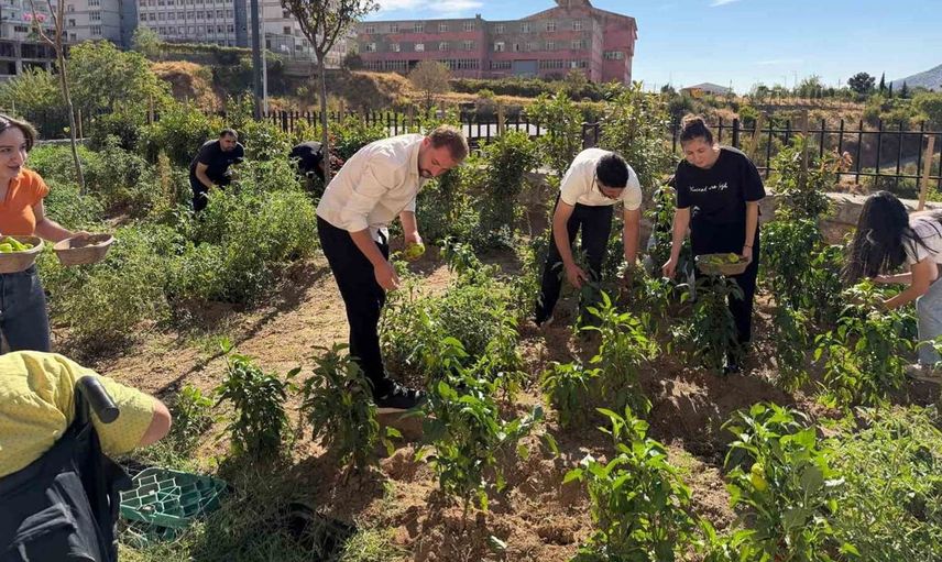 Kütüphane bahçesi öğrencilerin emeğiyle ürün vermeye başladı