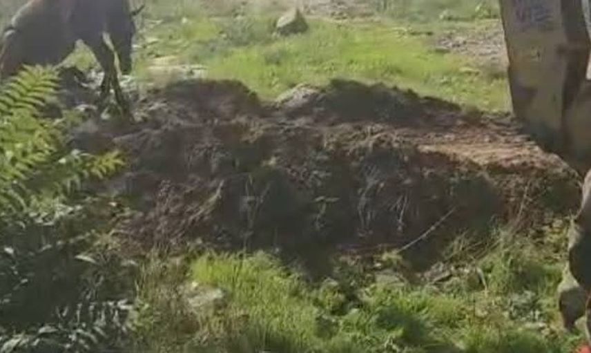 Antakya'da kuyuya düşen atın kurtarılması sevindirici anlar yaşattı