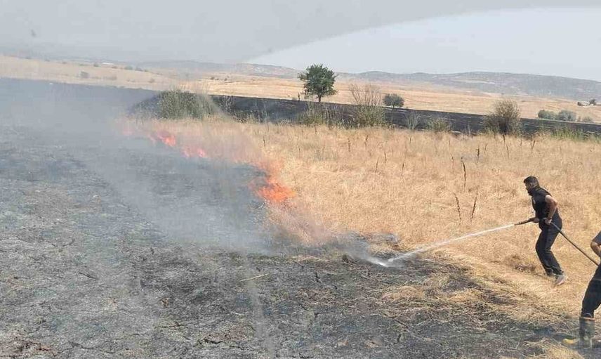 Bingöl'de arazi yangını: 2 bin dönümden fazla tarım alanı zarar gördü