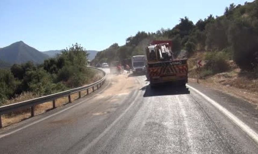 Mersin’de büyükbaş hayvan yüklü tır devrildi