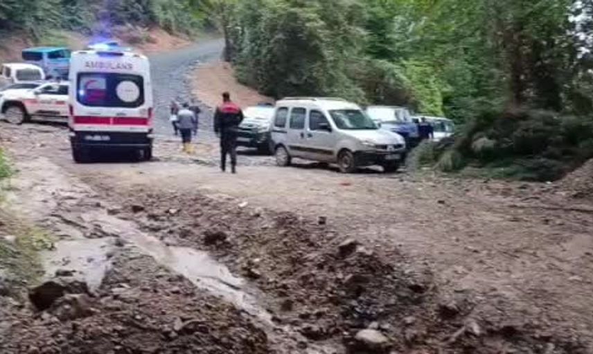 Kestane toplarken hayatını kaybeden adamın trajik hikayesi