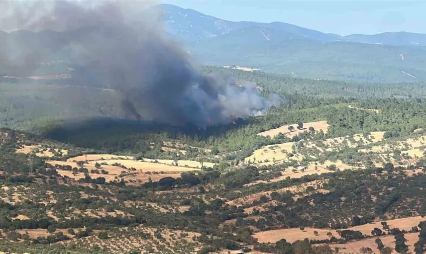 Çanakkale’deki orman yangınına havadan ve karadan müdahale devam ediyor
