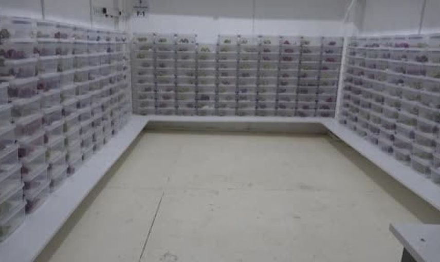 Bafra’da akrep yetiştiriciliği merkezi, bilimsel araştırmalara kapı aralıyor