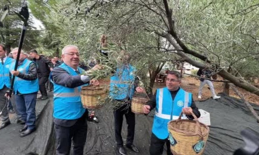 Zeytin hasadında buluşma: Edremit akademik şenliği yetiştiricilerle buluştu
