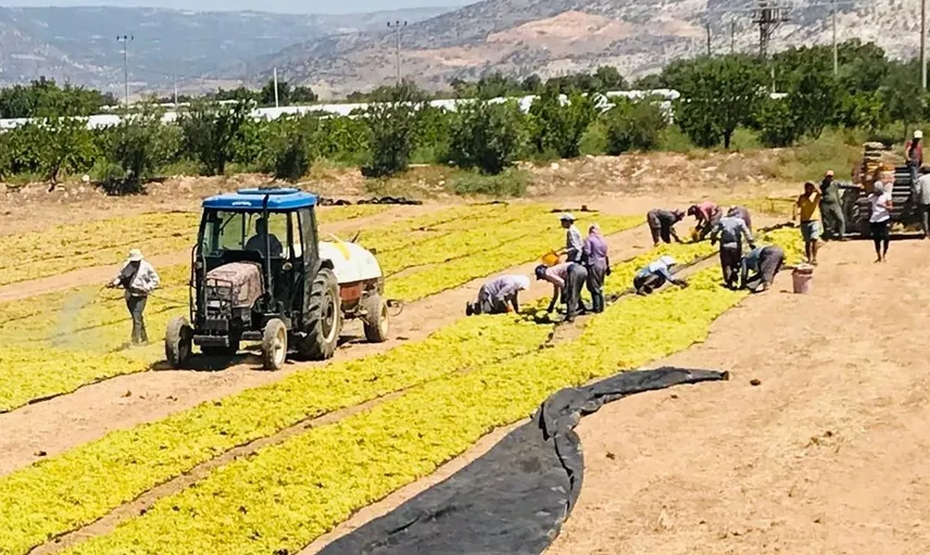Üzüm üreticilerinin talepleri Cumhurbaşkanlığına iletildi