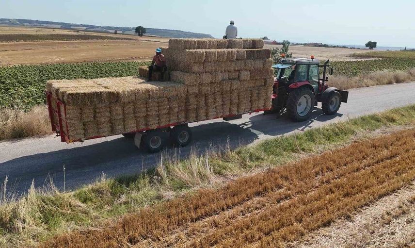 Edirne'de balya sezonu sona yaklaşırken işçiler sıcak altında ter döküyor