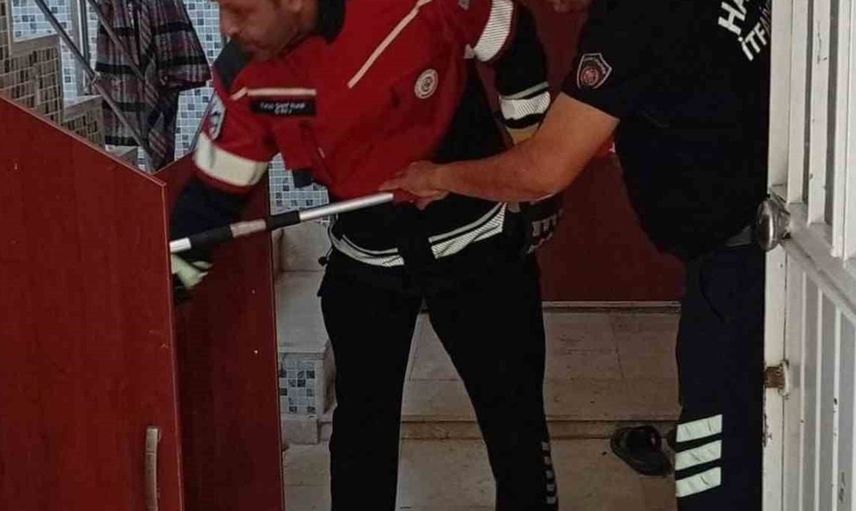 Samandağ'da yılanı yakalayan ekipler doğaya bıraktı