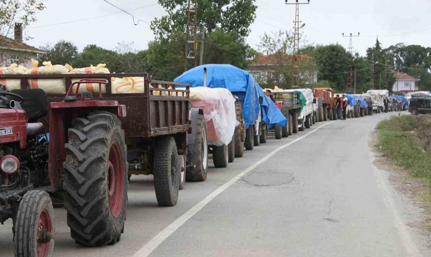 Fındık üreticilerine uyarı: ürünlerinizi ayıklayın