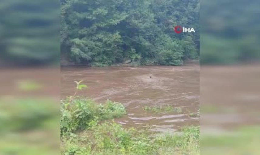 Giresun'da sel felaketi: Kız kardeşlerden birinin cansız bedenine ulaşıldı