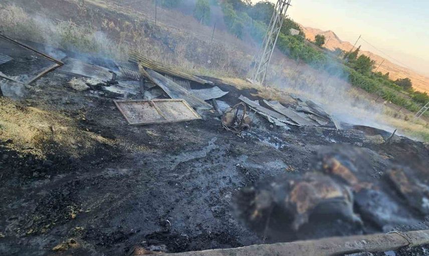 Gebe inekler yangında hayatını kaybetti: Elazığ'da felaket anları
