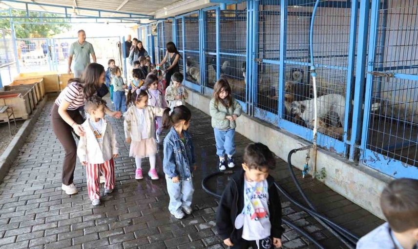 Nazilli'de minik öğrenciler can dostlarla buluştu