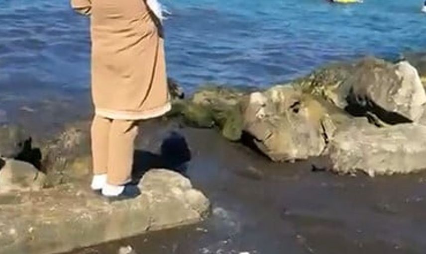 Mudanya sahilinde kanalizasyon suyu deşarjı vatandaşları endişelendirdi