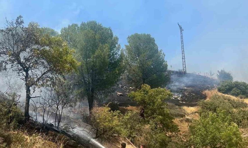 Aydın Büyükşehir İtfaiyesi 8 günde 445 yangına müdahale etti