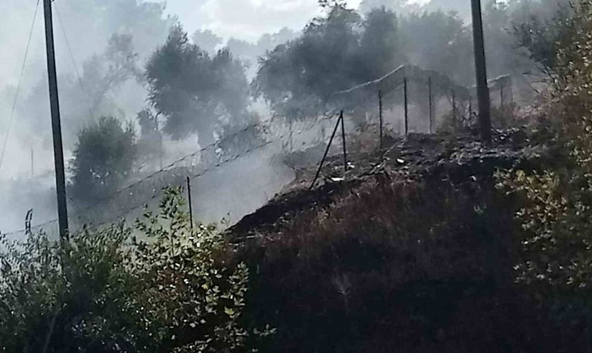 Milas-Söke karayolundaki yangın erken müdahale ile kontrol altına alındı