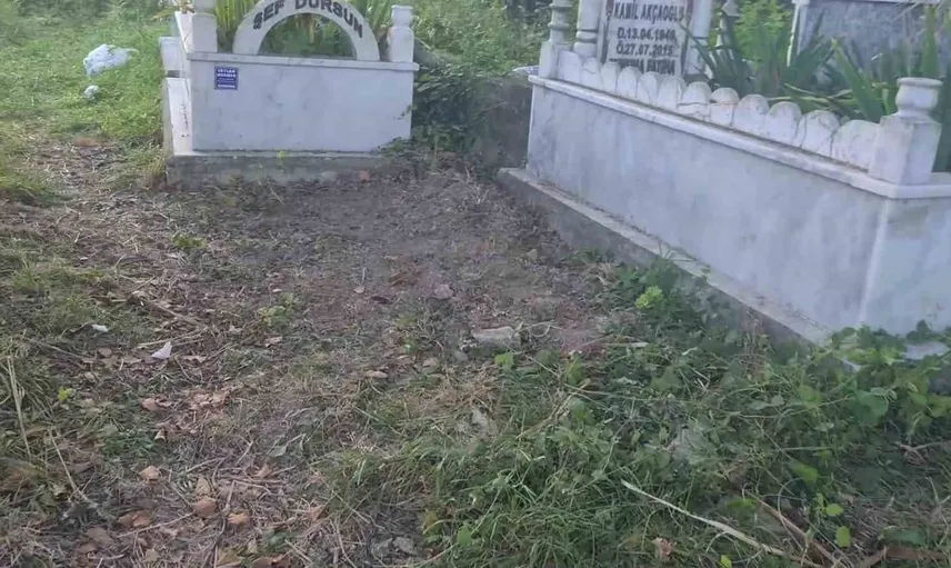 Zonguldak'ta bebek cesedi ihbarı paniği: Gömülen kedi çıktı