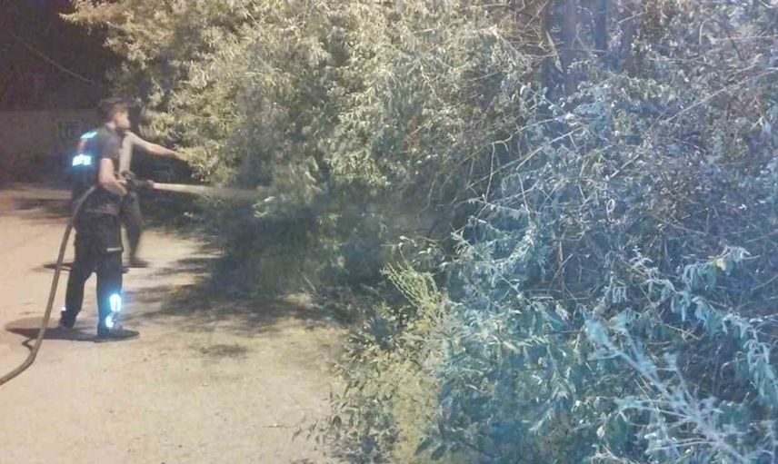 Van'ın Başkale ilçesinde bahçe yangını kontrol altına alındı