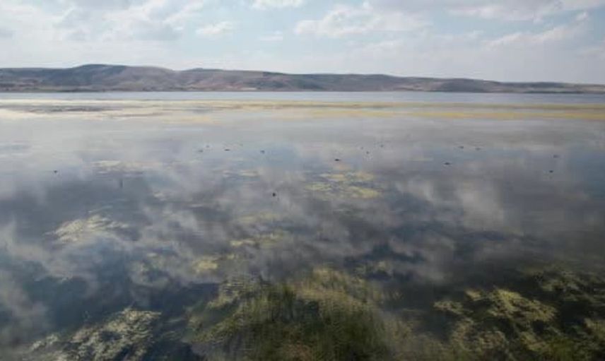 Çavuşçu Gölü yeniden suyla buluştu: Balık tutma hayaliyle bekliyorlar