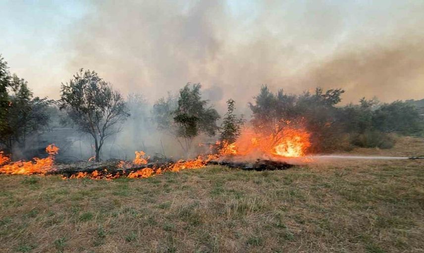 Köyceğiz ilçesinde ot yangını kontrol altına alındı