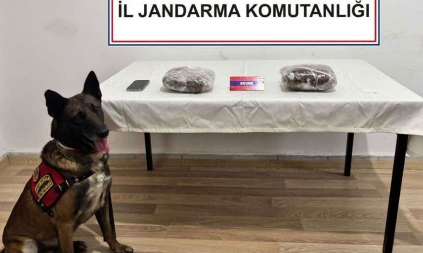 TEM otoyolunda yolcu otobüsünde uyuşturucu ele geçirildi: 1 kişi tutuklandı