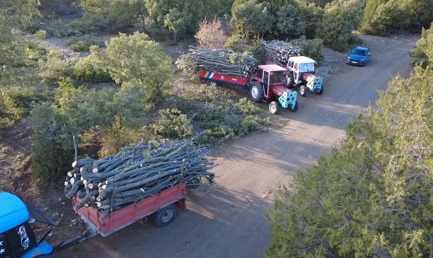 Kuruçay köyünde imece usulü kışlık odun hazırlığı yapılıyor