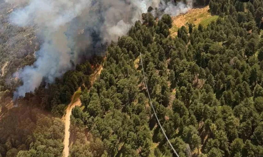 Kuyucak'ta yangınla mücadele devam ediyor, meteoroloji uyarıyor
