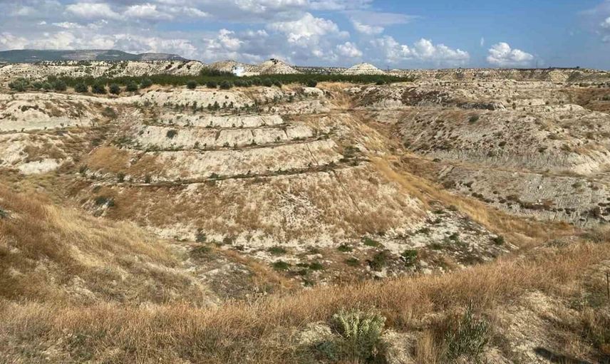 Mut'ta orman köylüleri için zeytin fidanı ağaçlandırma projesi hayata geçirildi