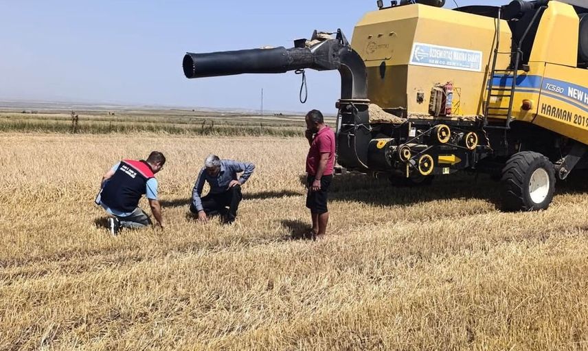 Kars'ta biçerdöver denetimleriyle hububat hasadı güvence altına alınıyor