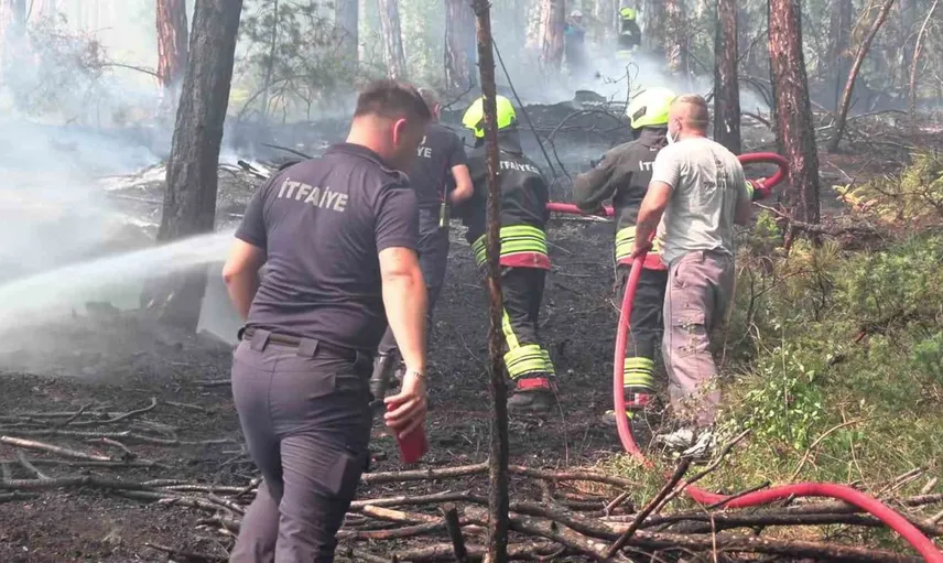 Bolu’daki orman yangını ekiplerin müdahalesiyle söndürüldü