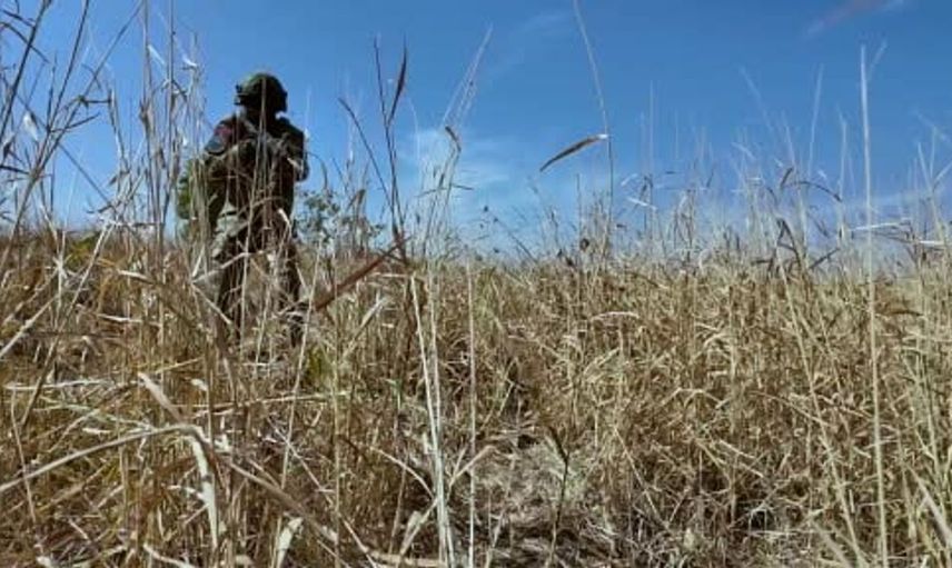 Türkiye, Azerbaycan ve Özbekistan ortak askeri tatbikatta bir araya geldi
