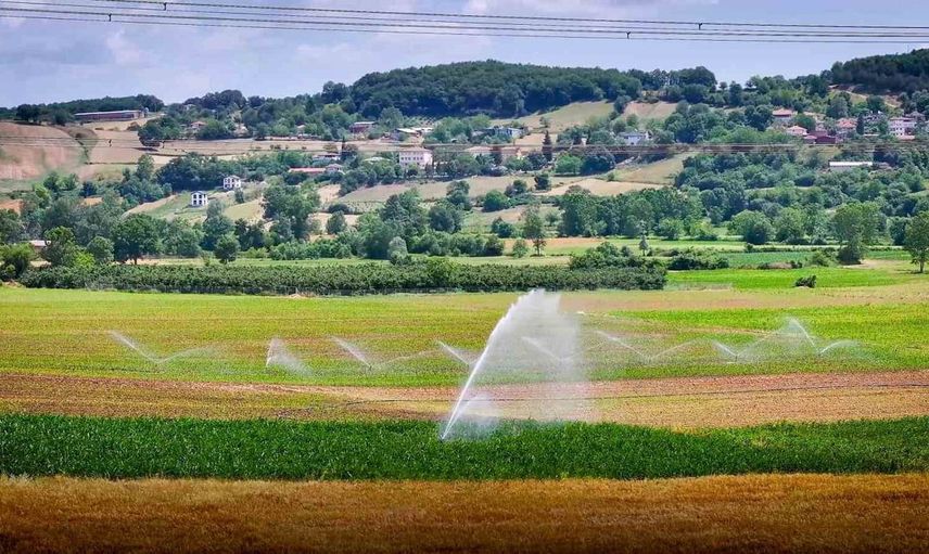Kocaeli tarımında çift hasat devrimi: Üreticiler yüzleri gülüyor
