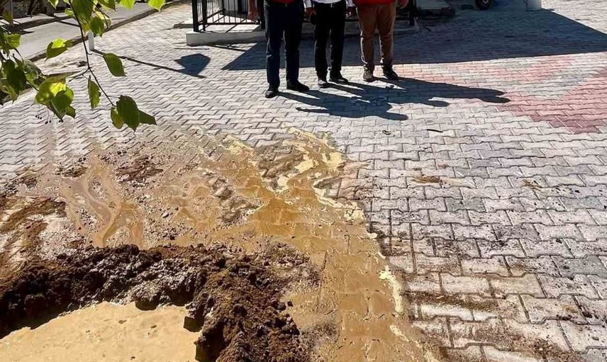 Sultanhisar'da ağaçlandırma seferberliği devam ediyor