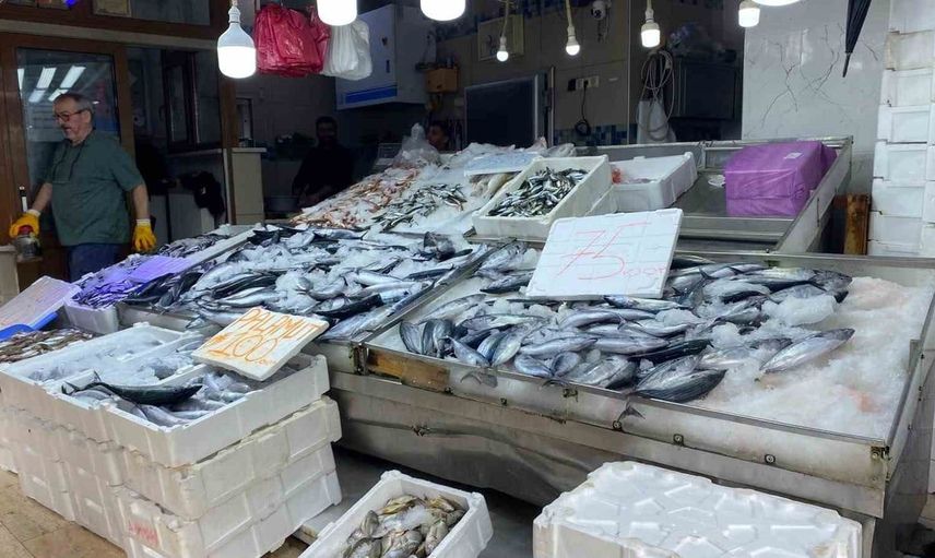 Sinop'ta lakerda kültürü: Balıkçılar geleneksel tuzlama yöntemleriyle üretim yapıyor