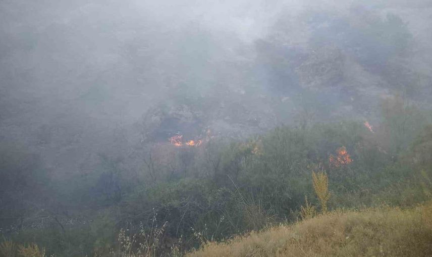 Pütürge'de orman yangınına müdahale sürüyor