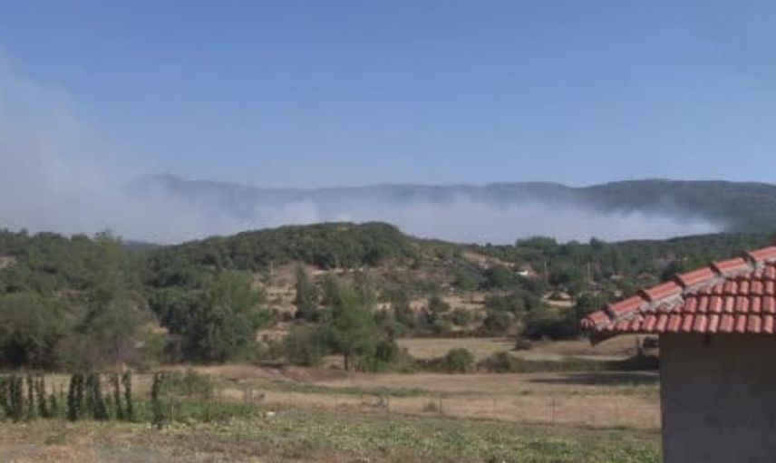 Muğla'daki orman yangınına havadan ve karadan müdahale sürüyor