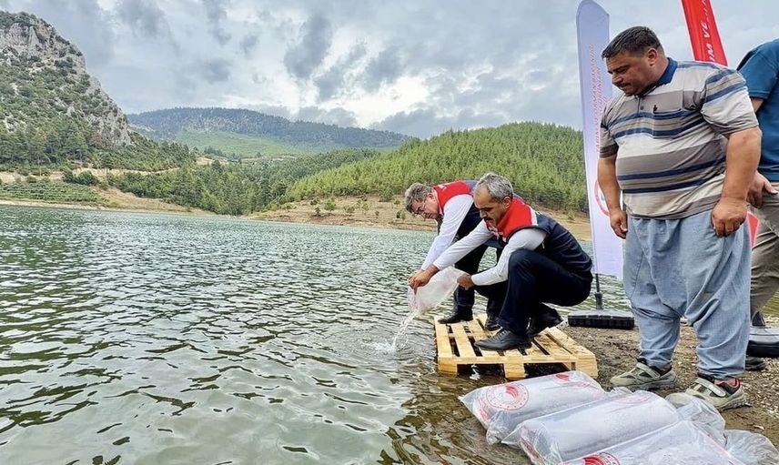 Mersin'de 17 gölet, 347 bin yavru sazan ile zenginleştirildi