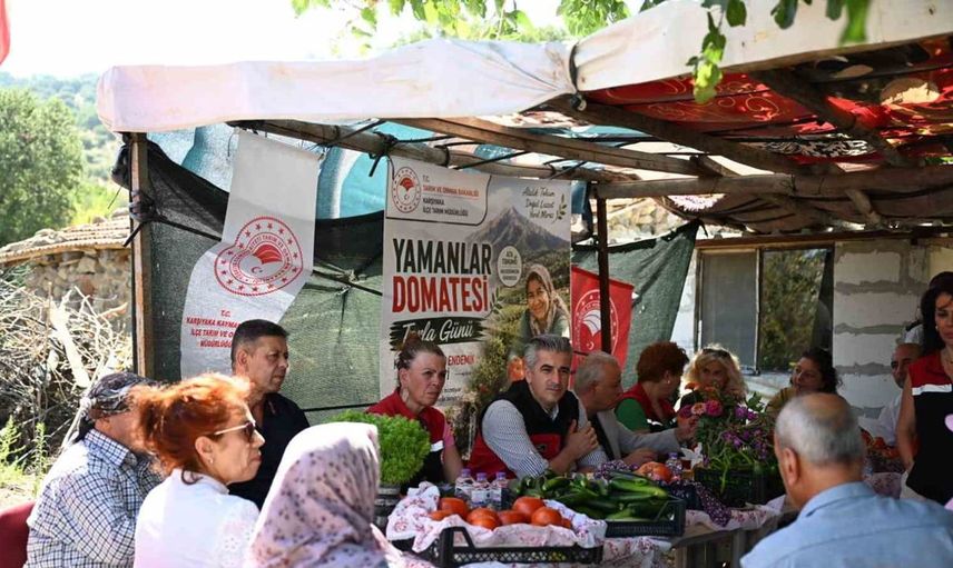 Yamanlar tarla domatesi üreticileri bir araya geldi: Tarla Günü etkinliği yapıldı
