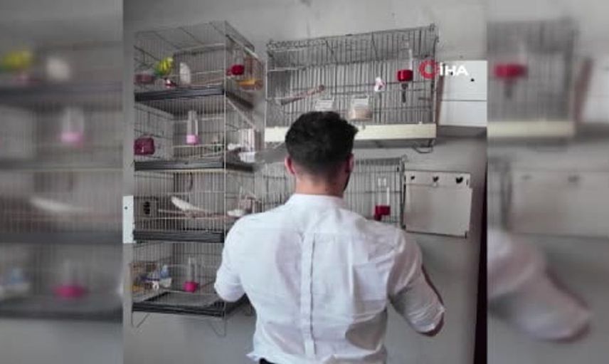 İçişleri Bakanı Çiftçi, Suriyeli kardeşlerimizin dönüşlerine destek vereceğiz