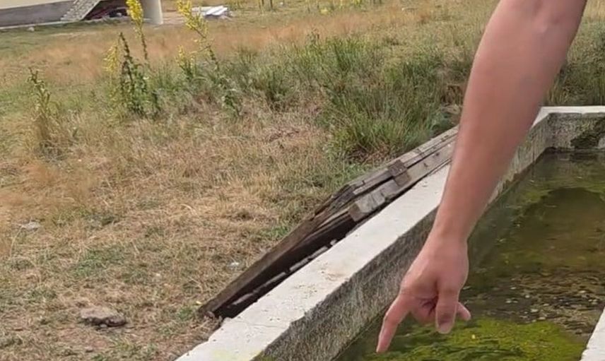 Bolu'da duyarlı vatandaş, hayvanların su içtiği yosunlu çeşmeyi temizledi