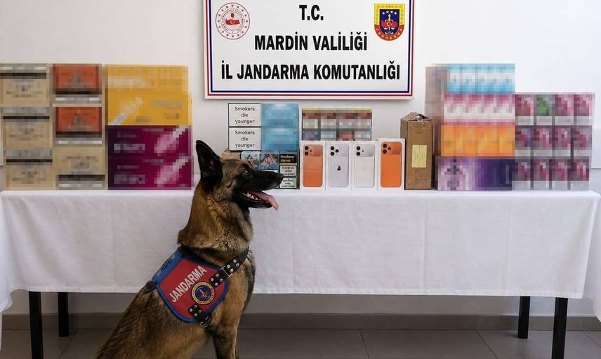 Mardin’de kaçak tütün operasyonunda 2 gözaltı