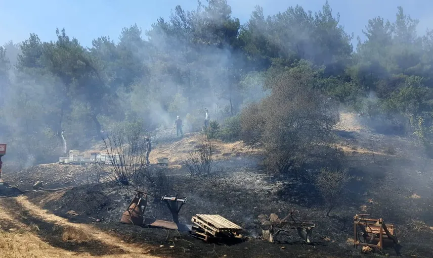 Bolu'da kontrol altına alınan yangın, ormanlığı tehdit etmeden söndürüldü