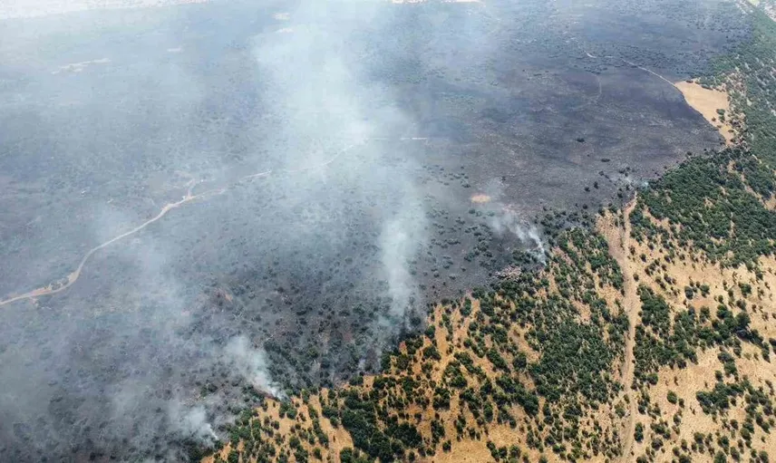 Elazığ’da ormanlık alanı tehdit eden yangın için seferberlik başladı