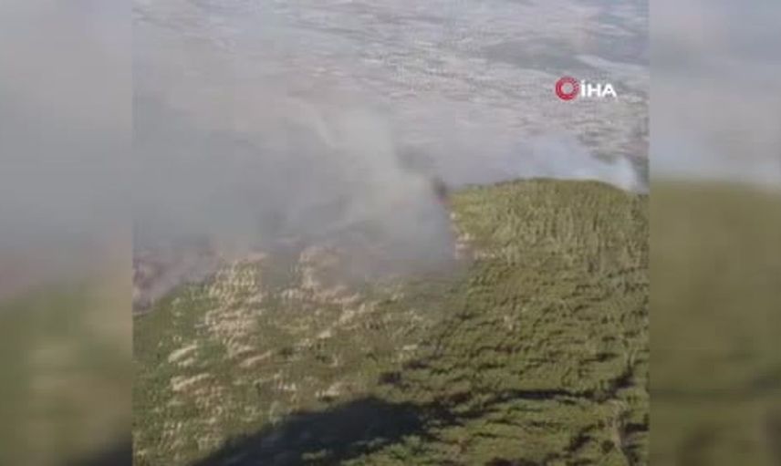 Kaş'taki orman yangınında enerji düşürüldü