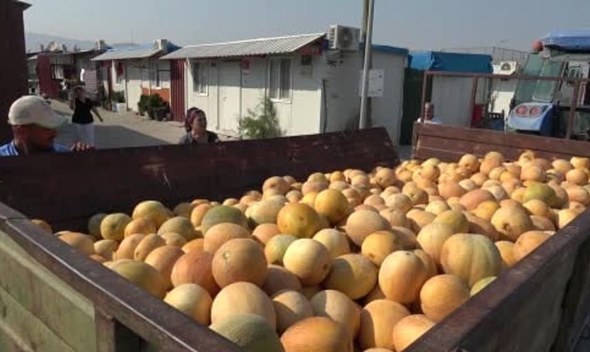 Hayır duası yeter: Çiftçi, 50 ton kavunu depremzedelere dağıtıyor